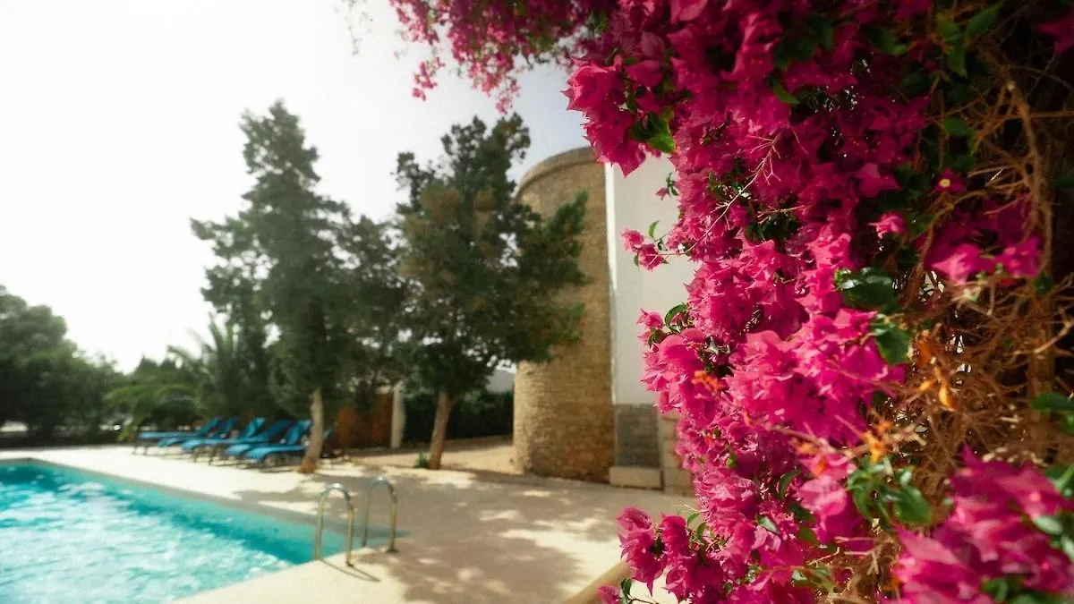 Villa Ocean - Sunset Beach San Antonio  Spanien